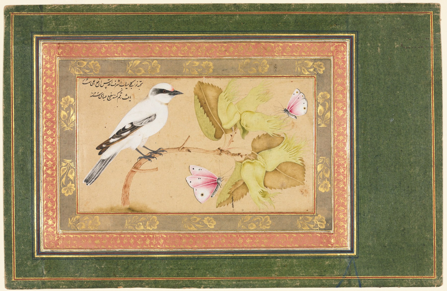 Bird and Blossom Manuscript