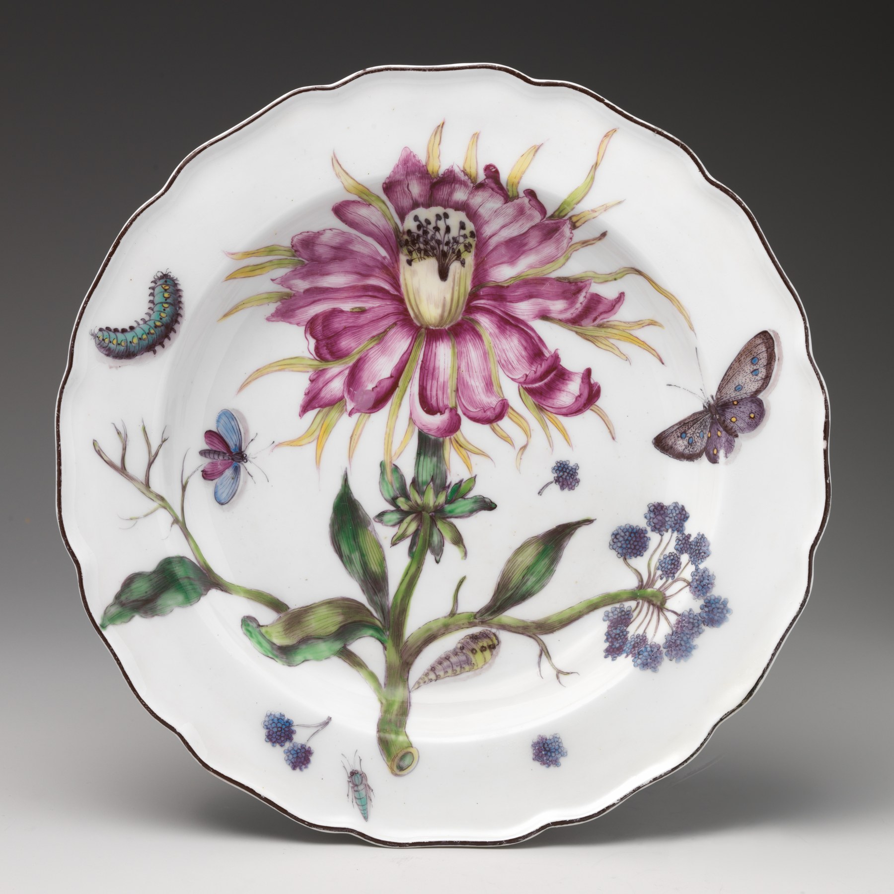 Botanical Flower Porcelain Plate