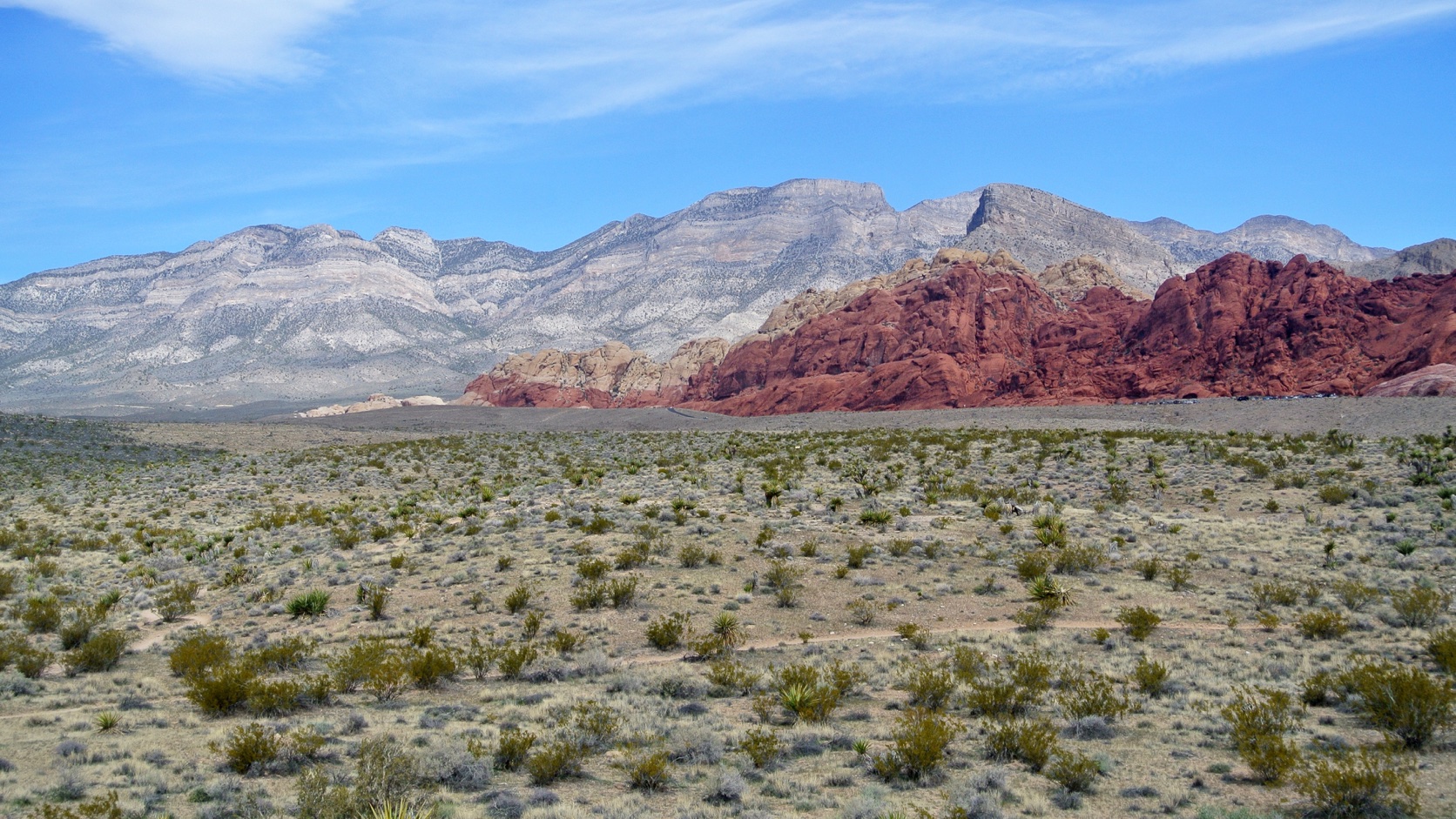 Canyon Red Rocks