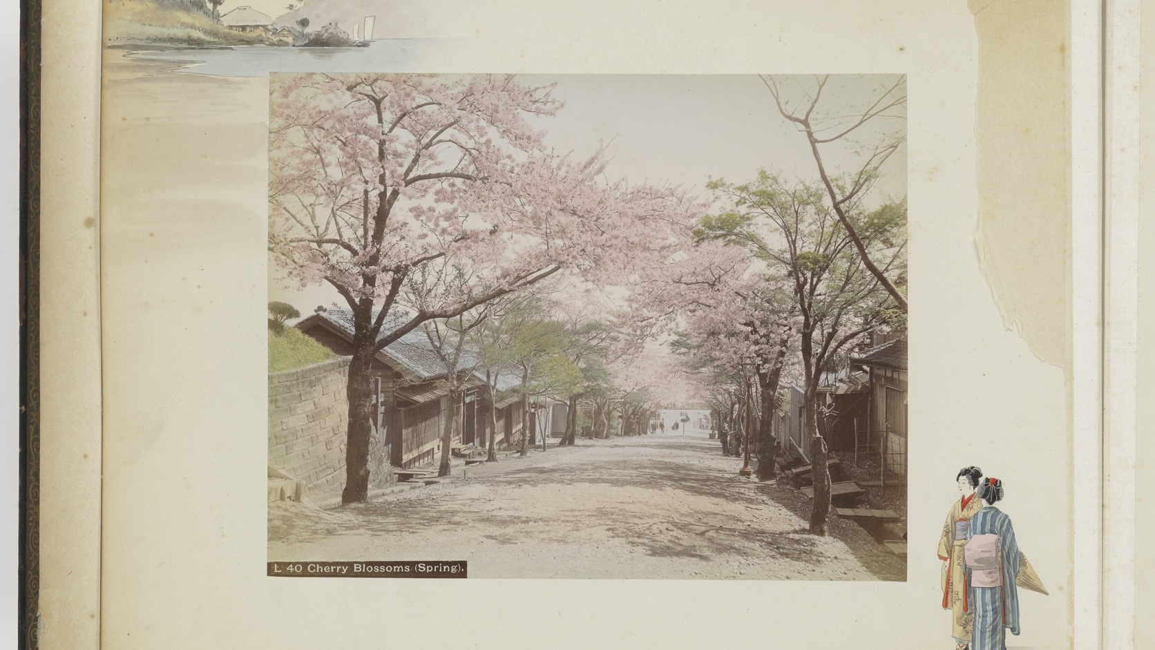 Vintage Cherry Blossom Street