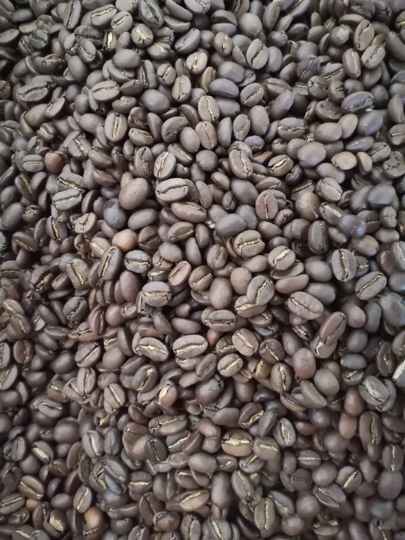 Coffee Beans