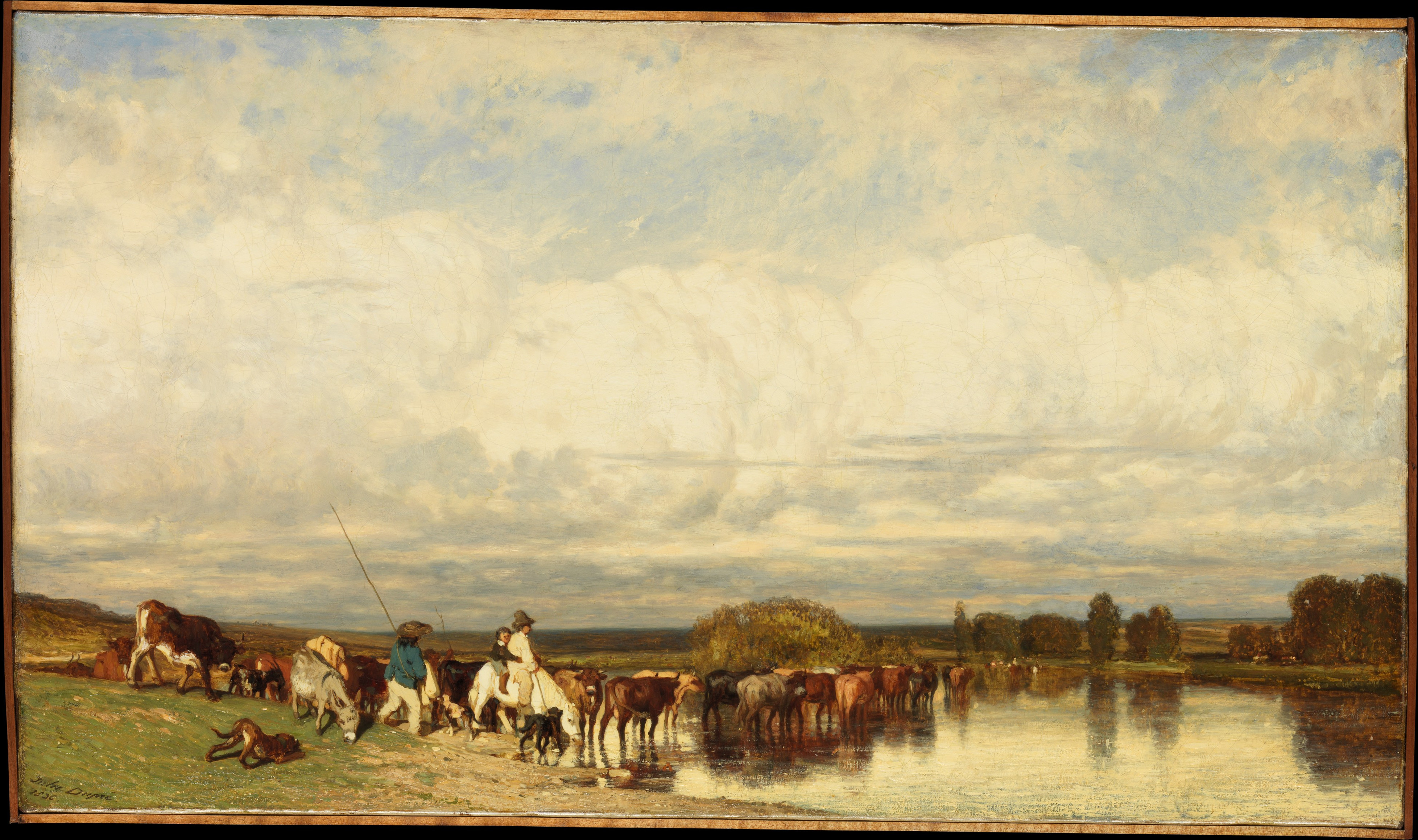 Cows Crossing a Ford