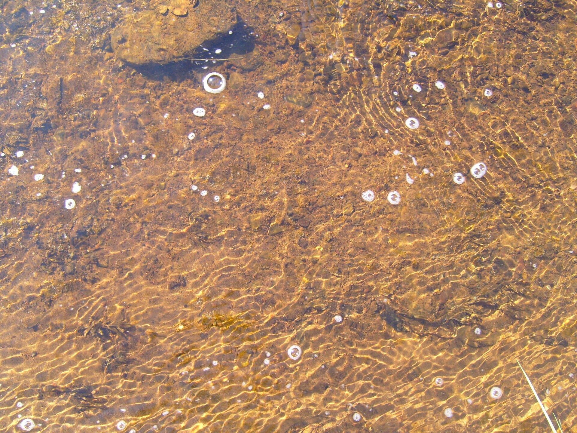 Creek ground water surface.jpg