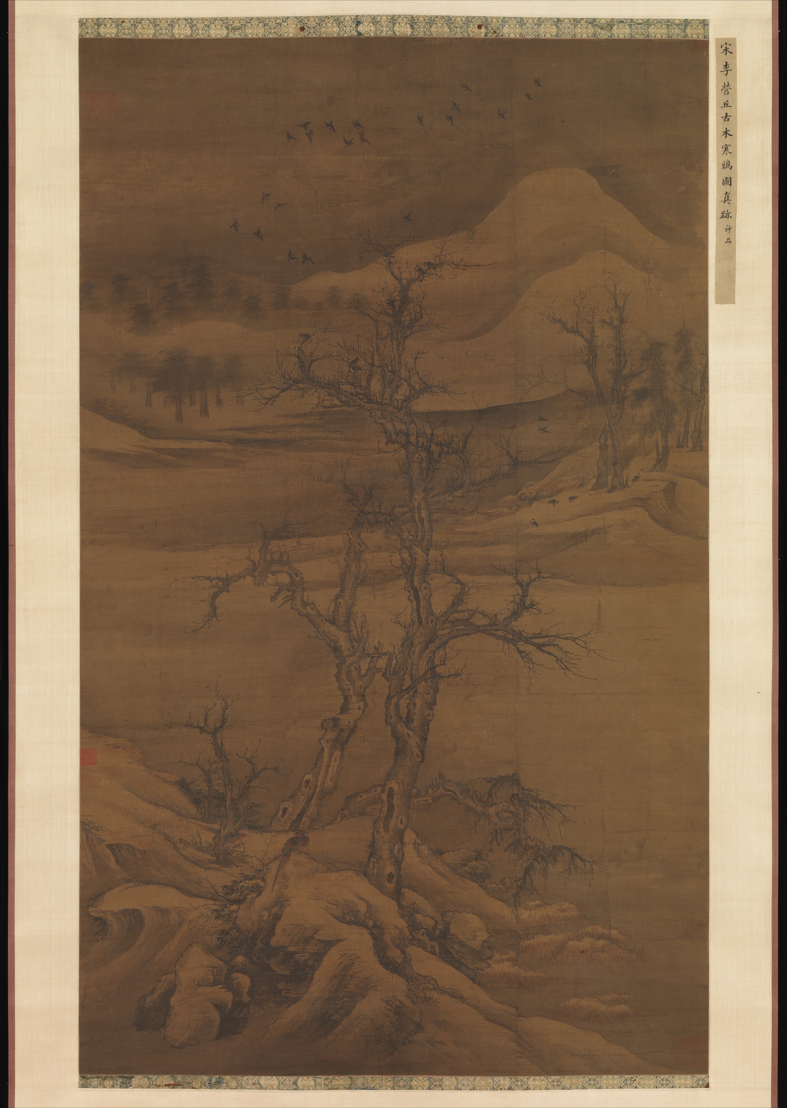 Crows in Old Trees