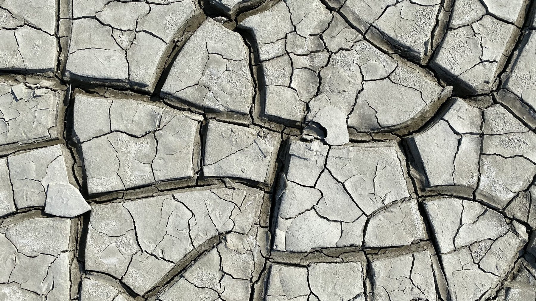 Dried Cracked Mud Texture