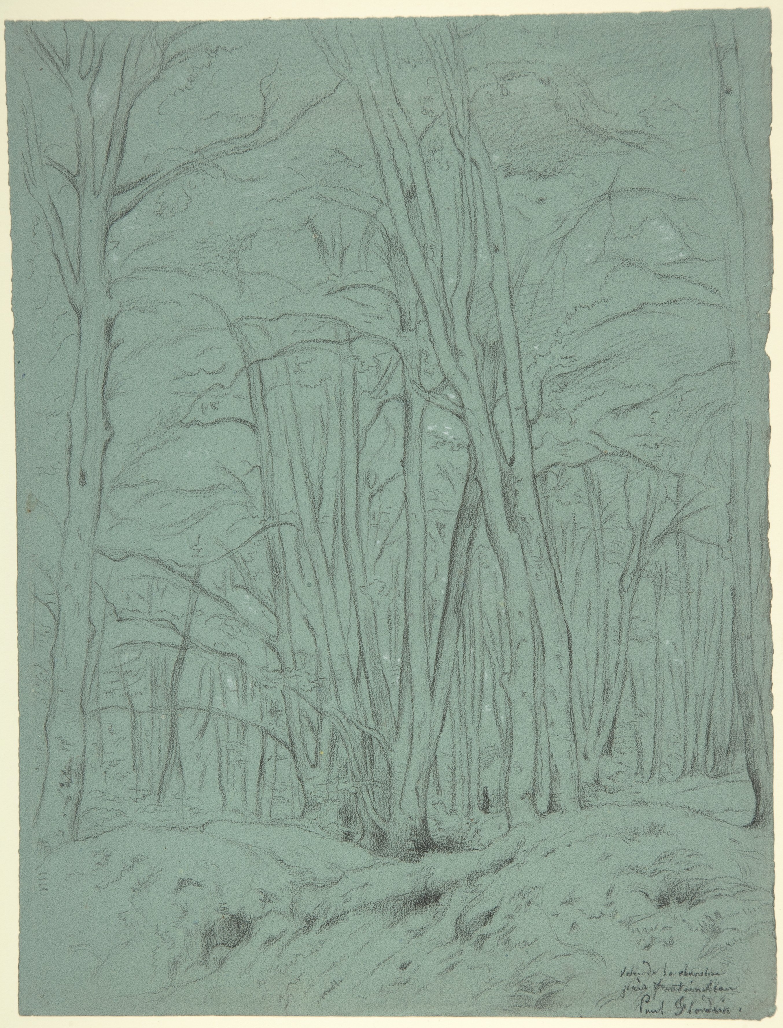 Forest View Near Fontainebleau