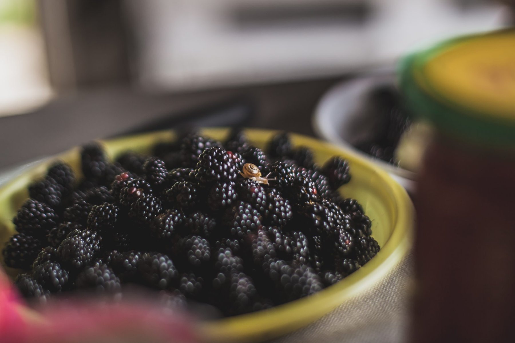 Fresh Blackberries