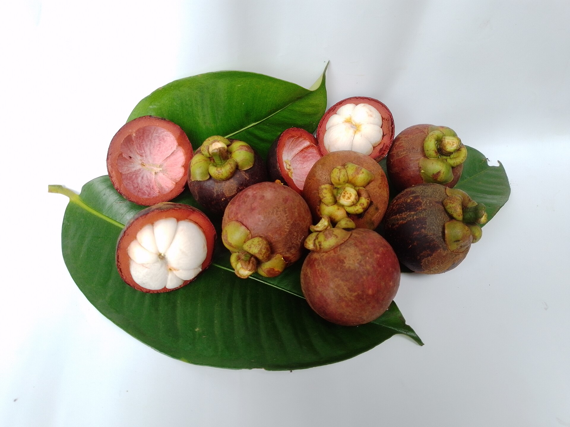 Fresh mangosteen fruit.jpg