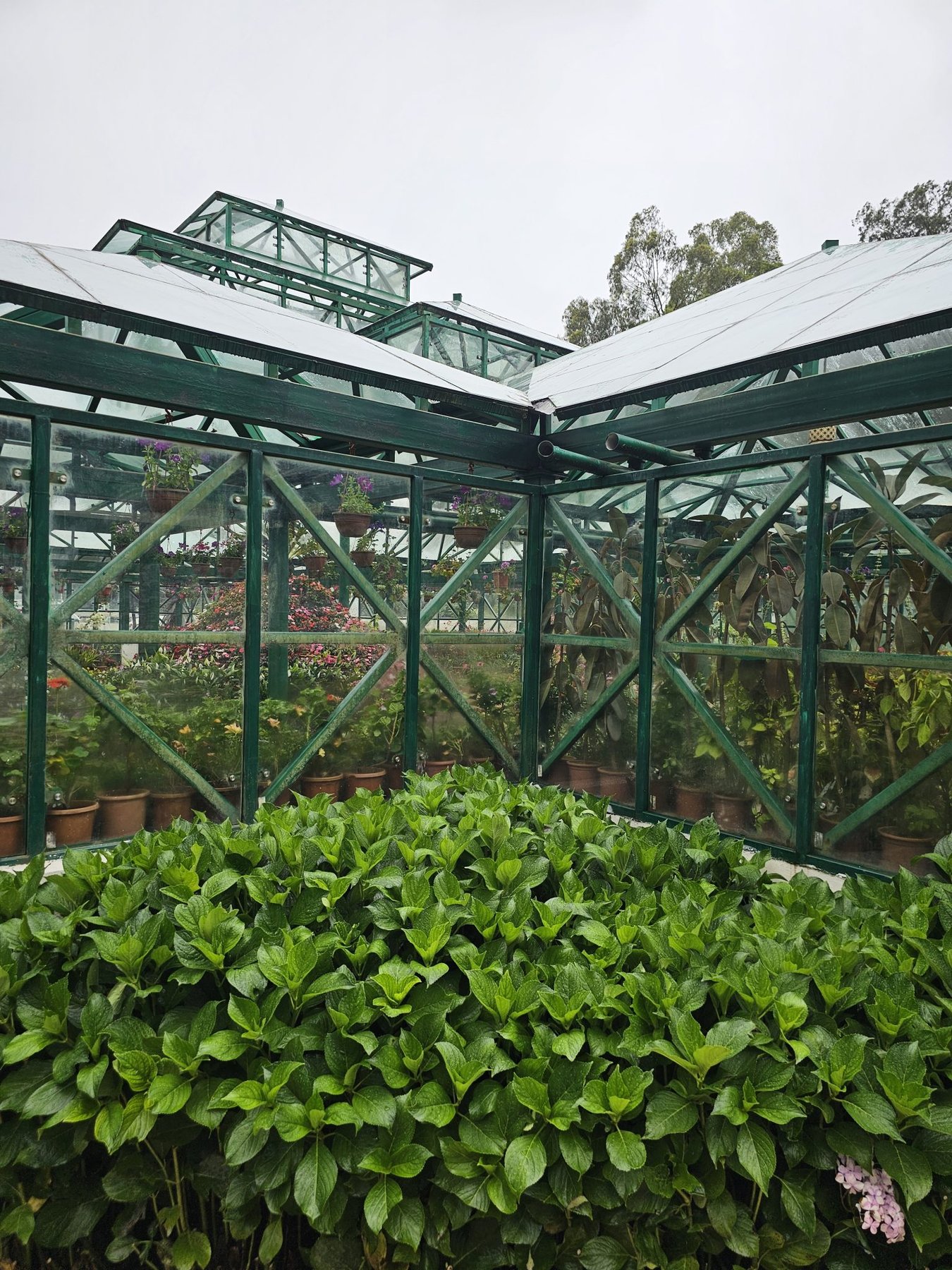 Botanical Greenhouse