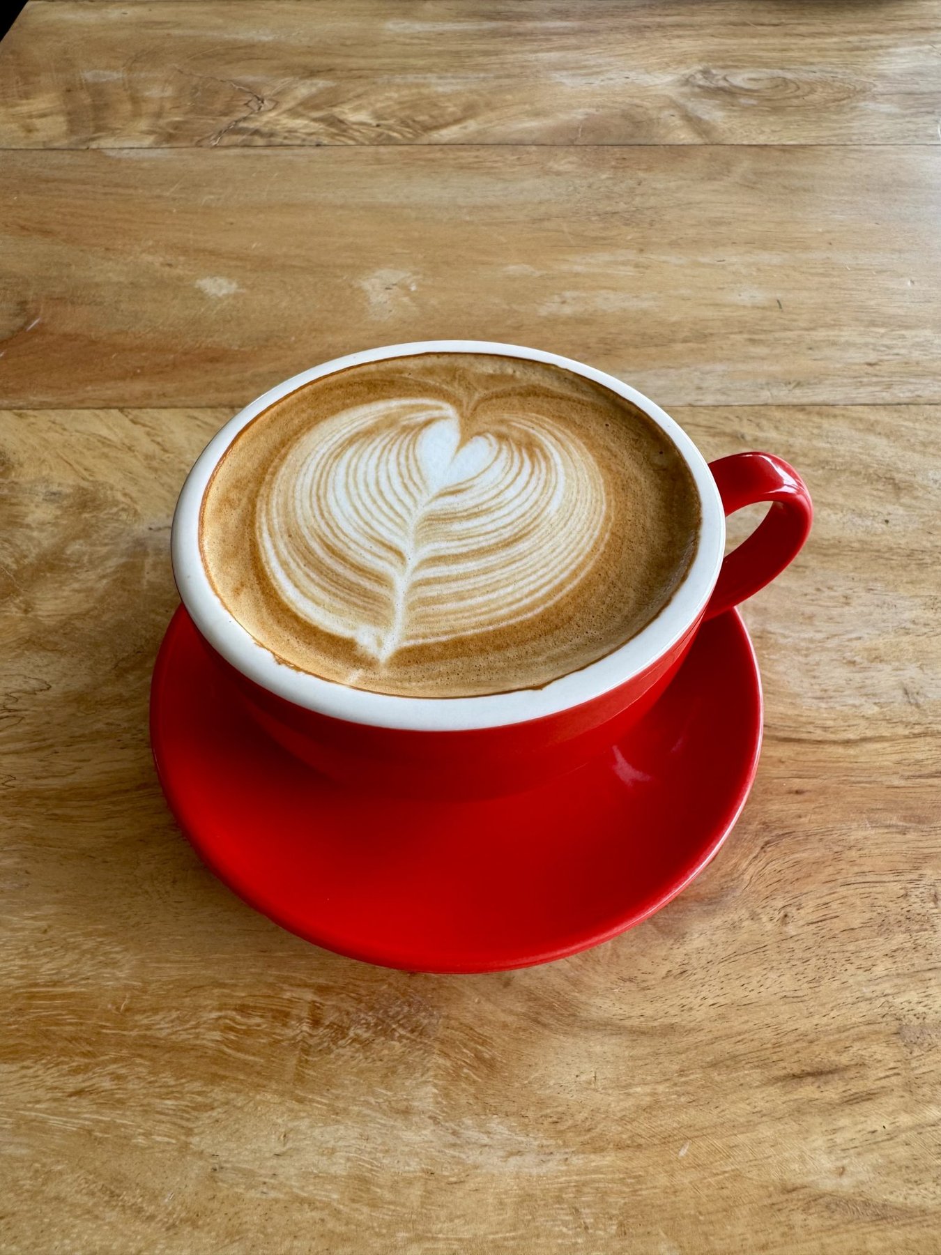 Latte Art in a Red Cup
