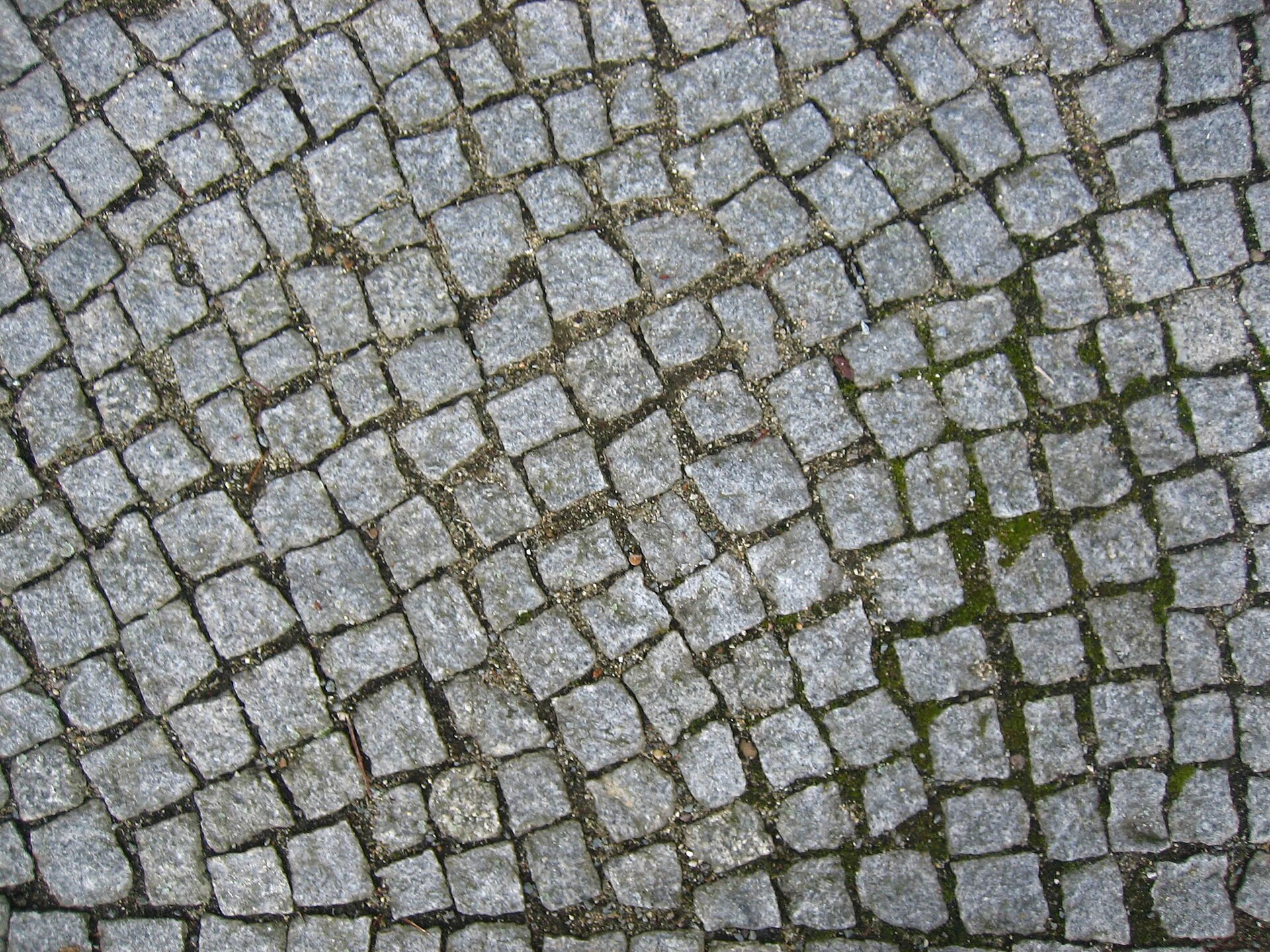 Paving stone texture.jpg