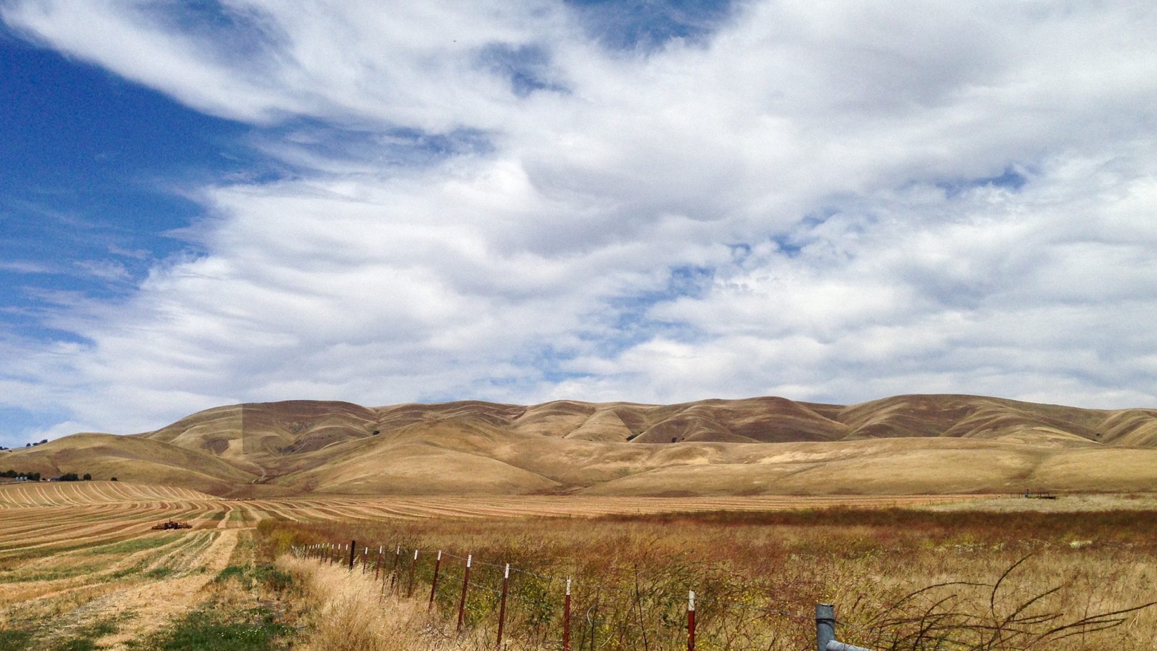 Golden Prairie
