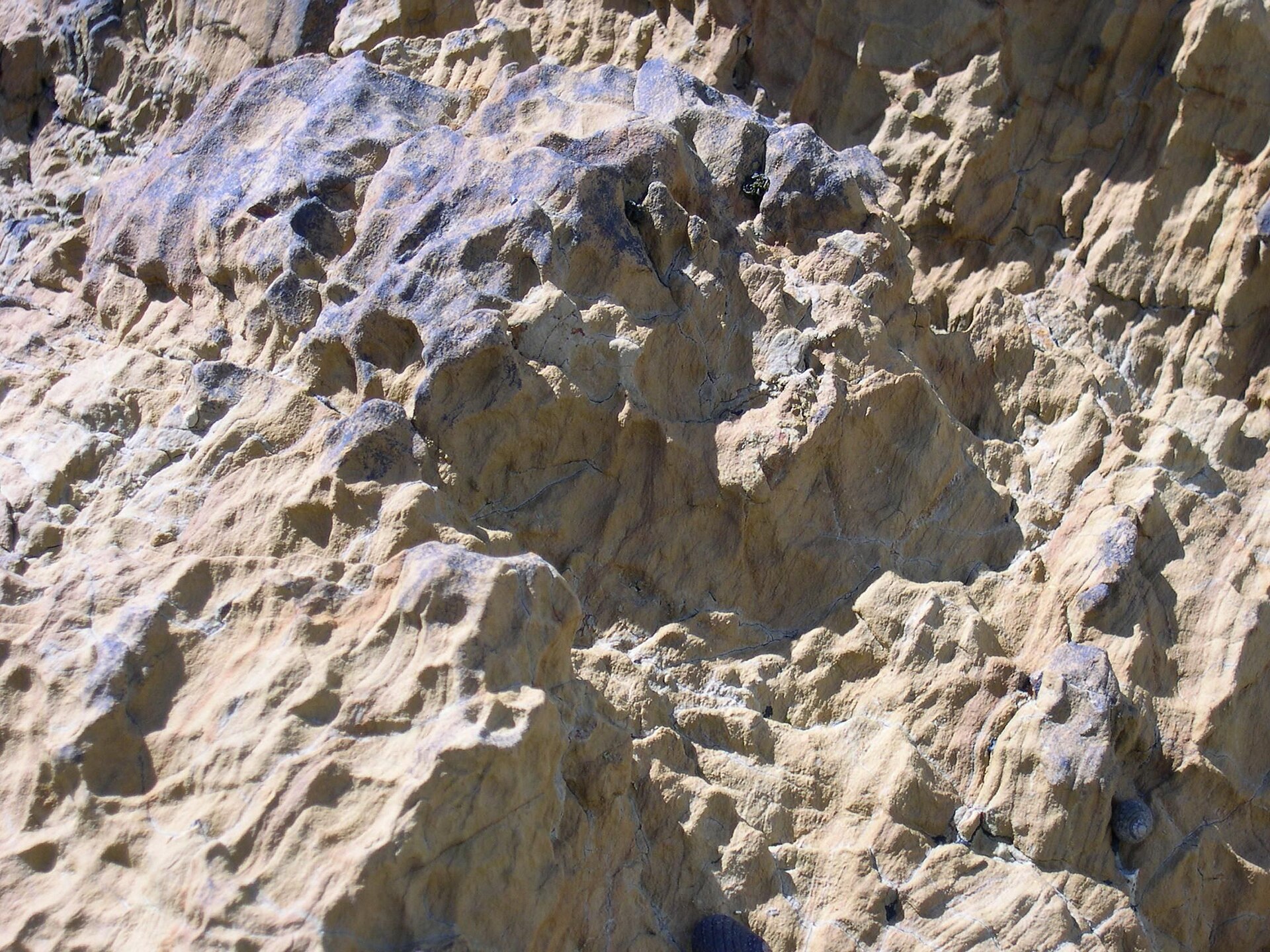 Rock sone texture.jpg