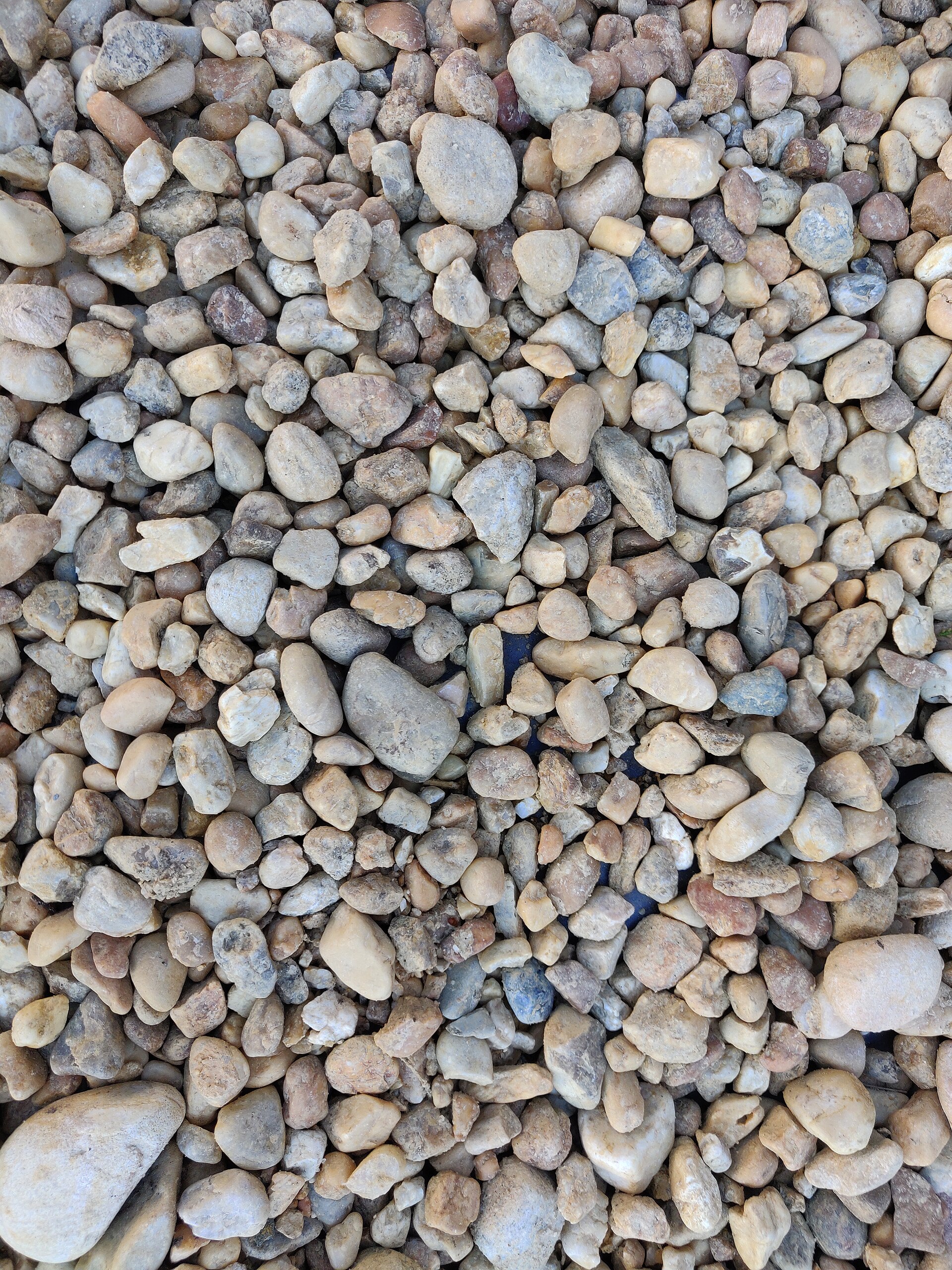 Rock Yard Texture.jpg