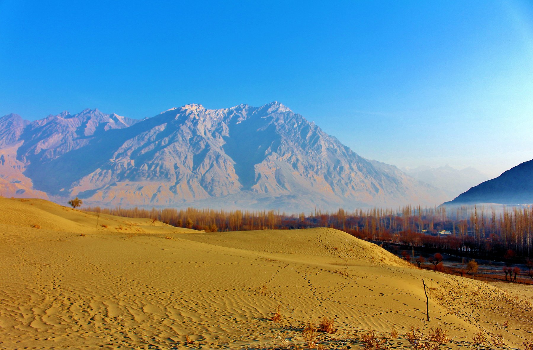 Desert Dunes and Mountains