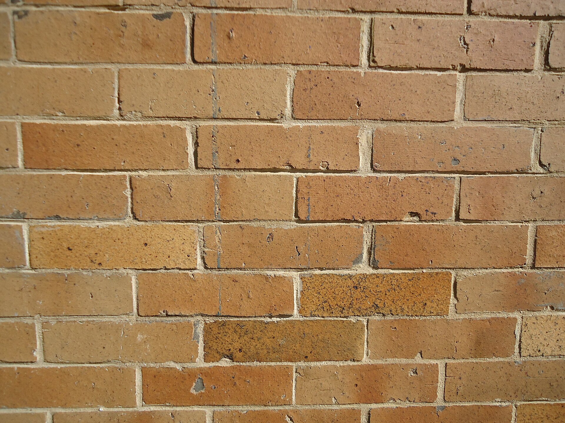 Surfaces vertical brick wall closeup view.JPG