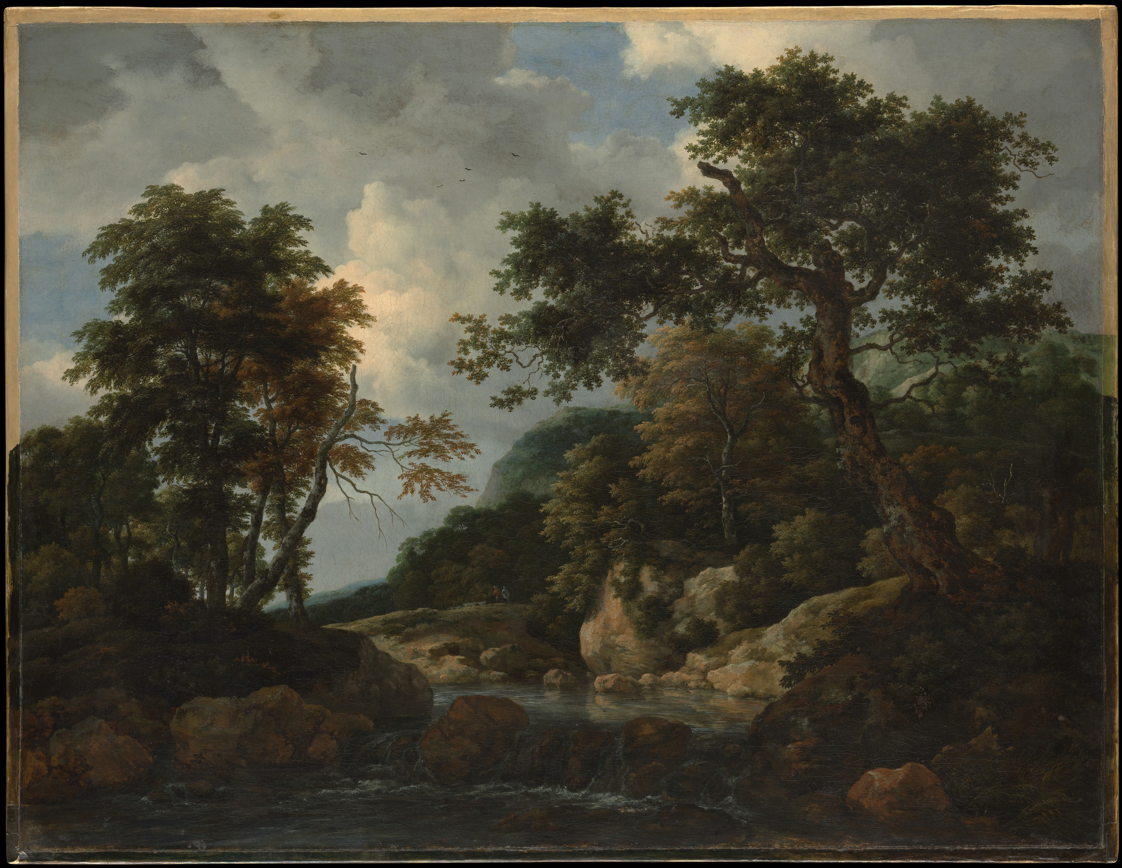 The Forest Stream
