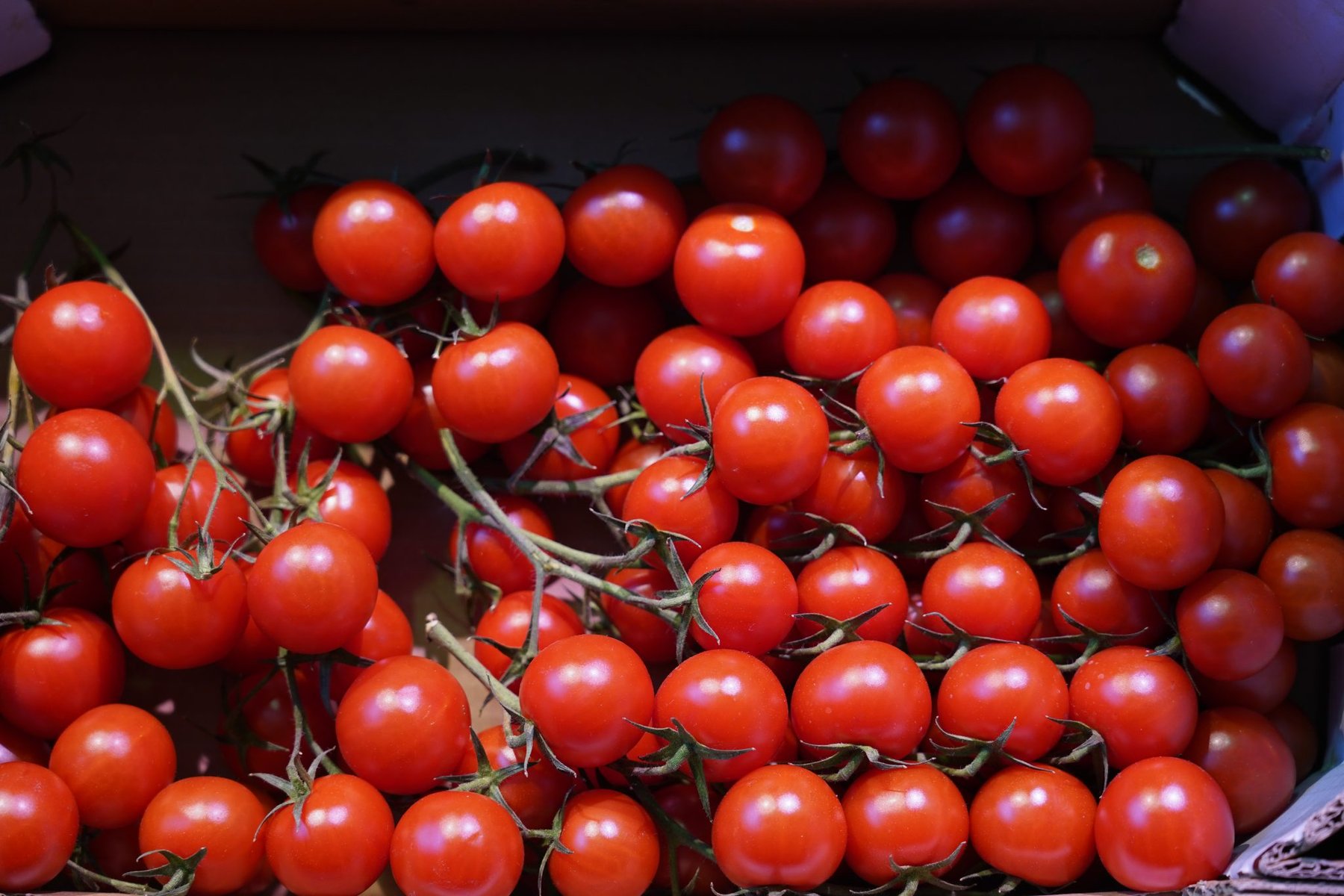 Cherry Tomatoes