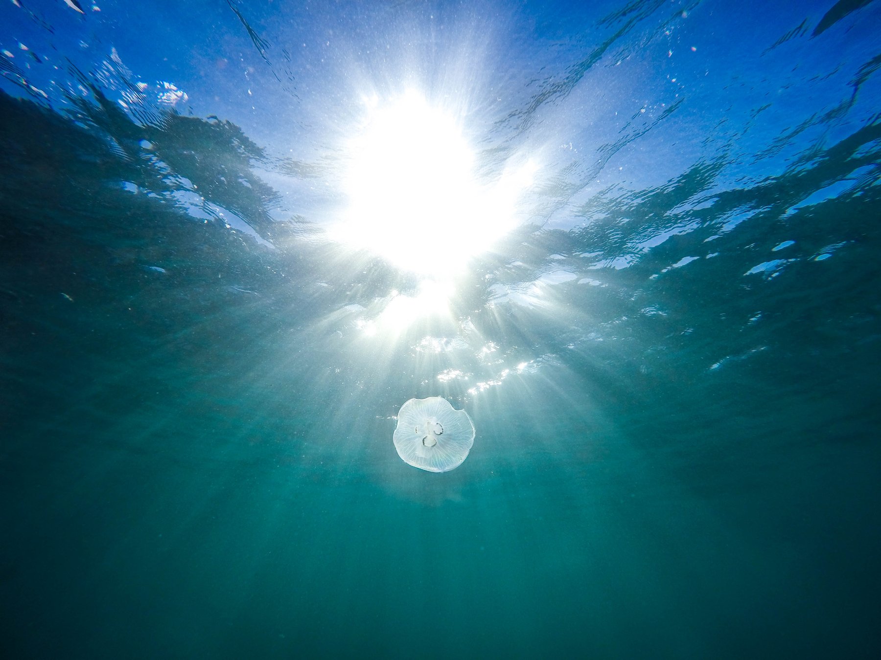Sunburst Through the Ocean Surface