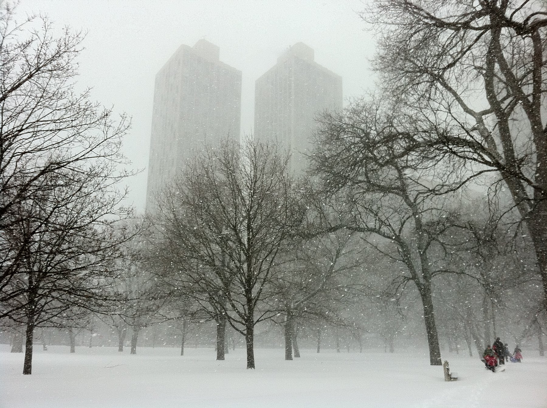 Winter Fog Over a Snowy Park