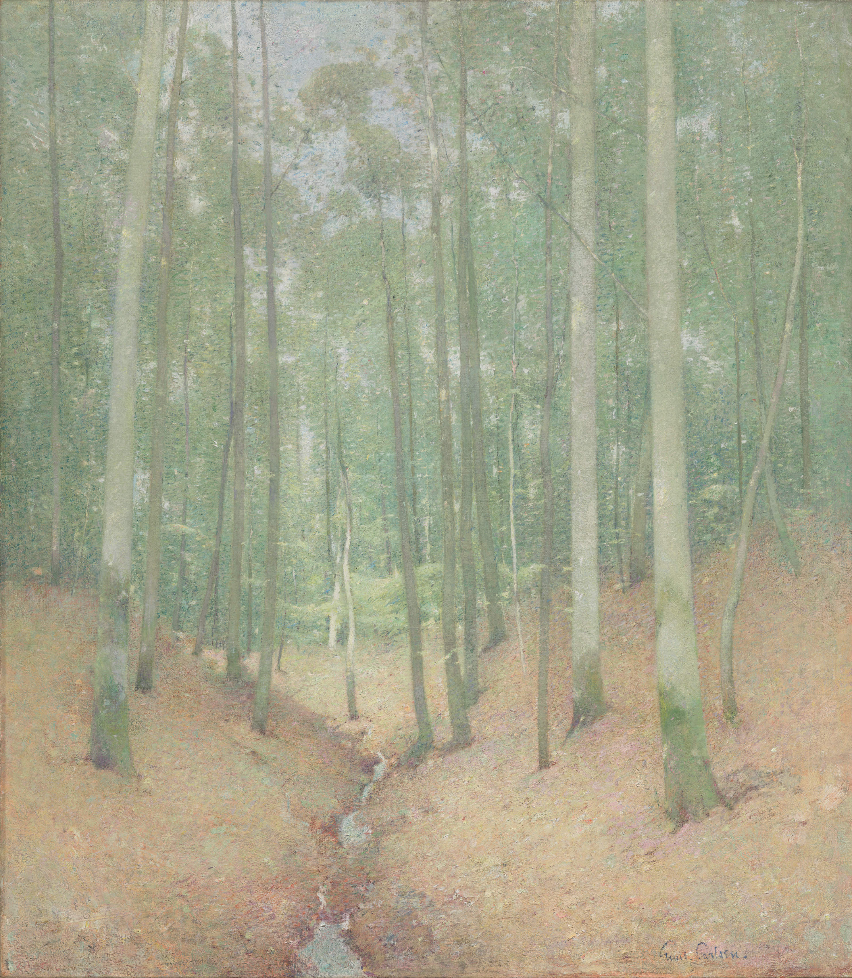 Wood Interior