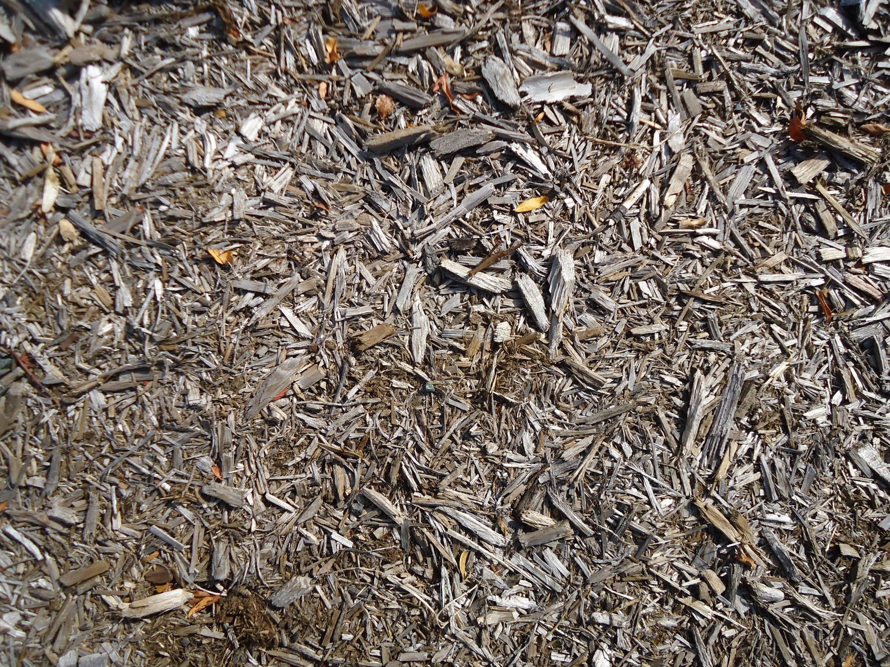 Wood Chip Mulch Texture